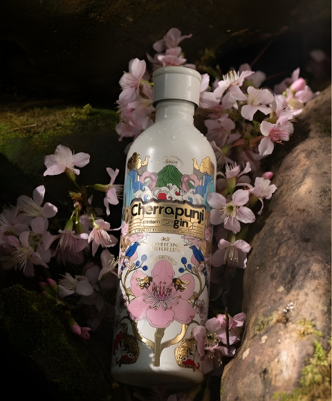 Cherrapunji Gin Story